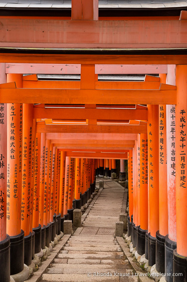 travelyesplease.com | Fushimi Inari Shrine- A Mountain Path Like No Other