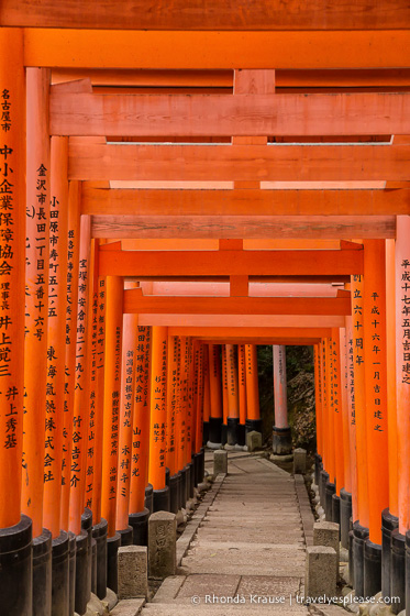 travelyesplease.com | Fushimi Inari Shrine- A Mountain Path Like No Other