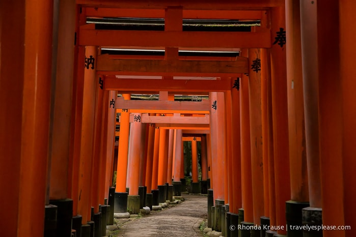 travelyesplease.com | Fushimi Inari Shrine- A Mountain Path Like No Other