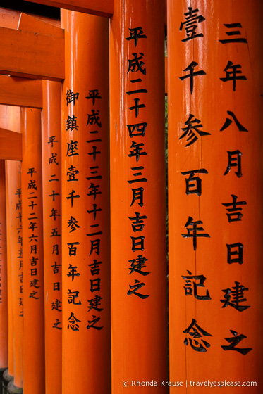 travelyesplease.com | Fushimi Inari Shrine- A Mountain Path Like No Other