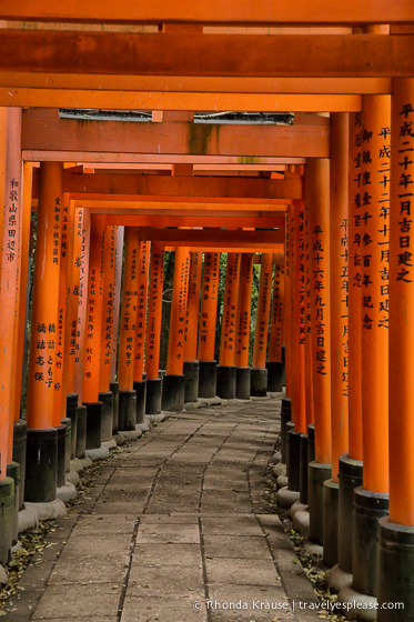 Shinto Shrine with torii gates Details about   Kyoto Japan Iron On Travel Patch 