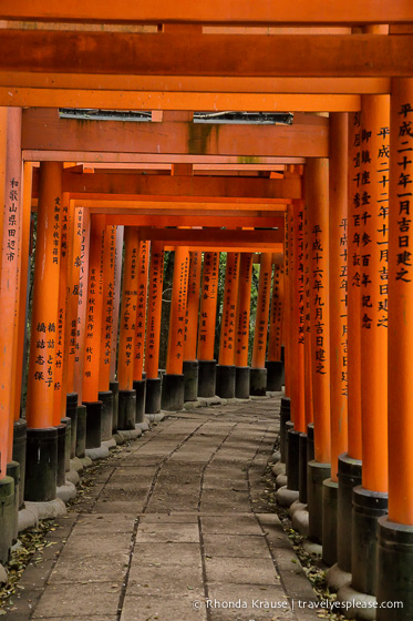 travelyesplease.com | Fushimi Inari Shrine- A Mountain Path Like No Other