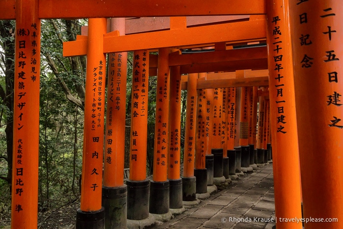 travelyesplease.com | Fushimi Inari Shrine- A Mountain Path Like No Other