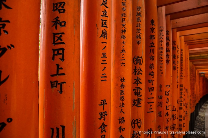 travelyesplease.com | Fushimi Inari Shrine- A Mountain Path Like No Other