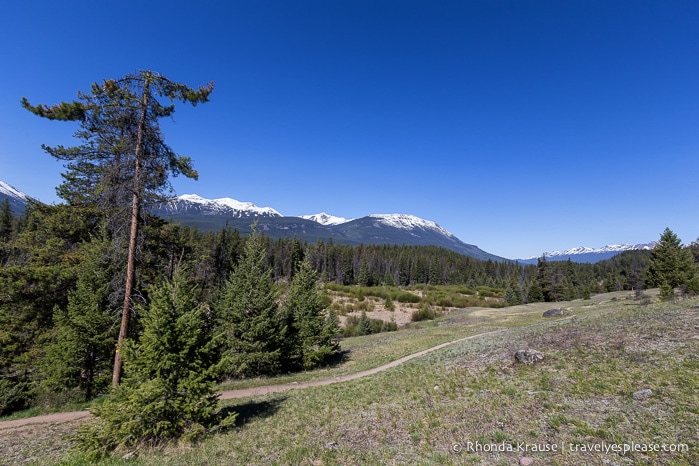 travelyesplease.com | Hiking Jasper's Valley of the Five Lakes