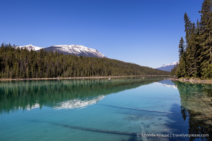 travelyesplease.com | Hiking Jasper's Valley of the Five Lakes