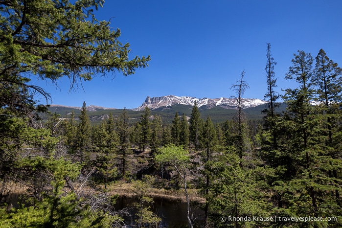 travelyesplease.com | Hiking Jasper's Valley of the Five Lakes