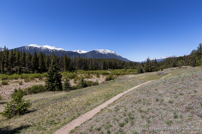 travelyesplease.com | Hiking Jasper's Valley of the Five Lakes