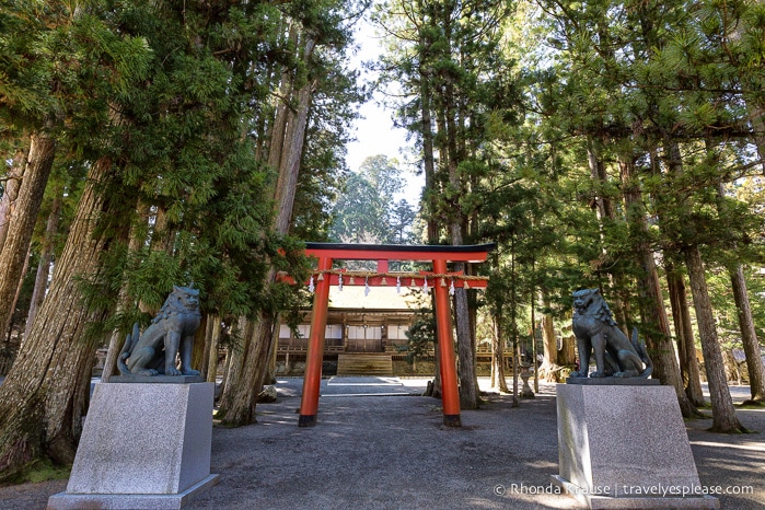 travelyesplease.com | Danjo Garan- Koyasan's Central Temple Complex