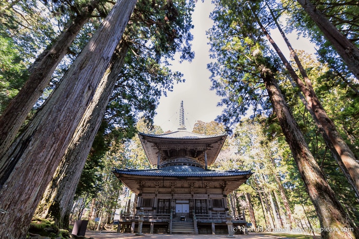 travelyesplease.com | Danjo Garan- Koyasan's Central Temple Complex