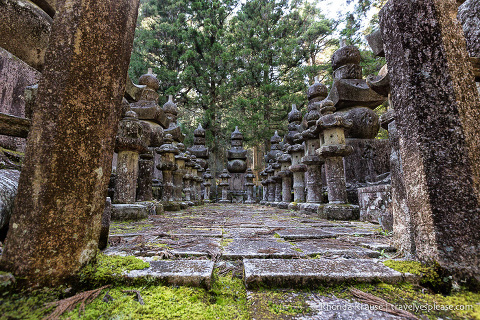 travelyesplease.com | The Okunoin- Koyasan's Ancient Cemetery