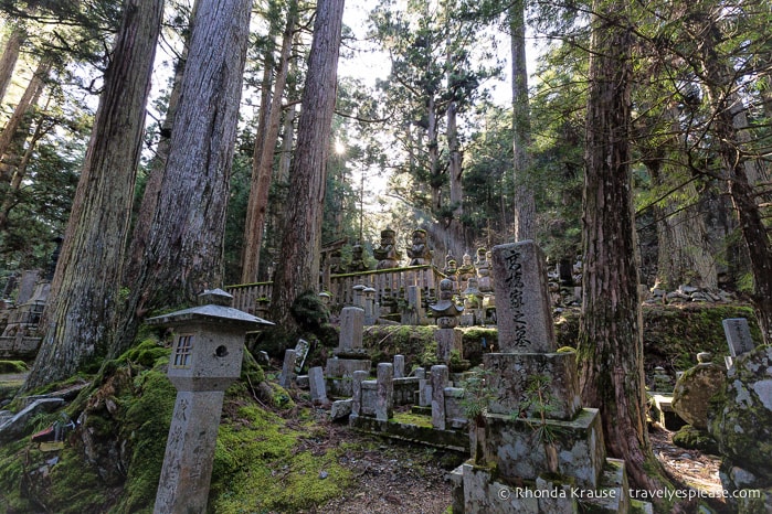 travelyesplease.com | The Okunoin- Koyasan's Ancient Cemetery