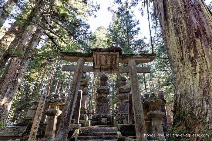 travelyesplease.com | The Okunoin- Koyasan's Ancient Cemetery