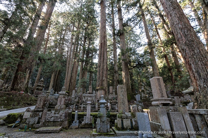 travelyesplease.com | The Okunoin- Koyasan's Ancient Cemetery