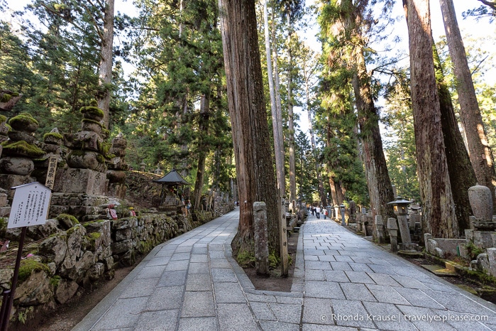 travelyesplease.com | The Okunoin- Koyasan's Ancient Cemetery