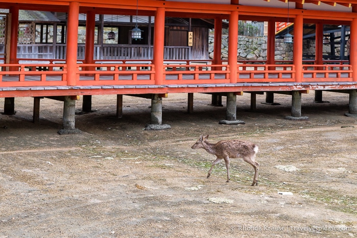 travelyesplease.com | Itsukushima Shrine- Miyajima Island, Japan