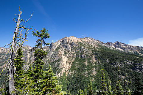 travelyesplease.com | A Scenic Drive on the North Cascades Highway