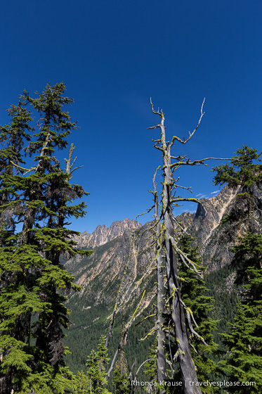 travelyesplease.com | A Scenic Drive on the North Cascades Highway