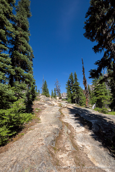 travelyesplease.com | A Scenic Drive on the North Cascades Highway