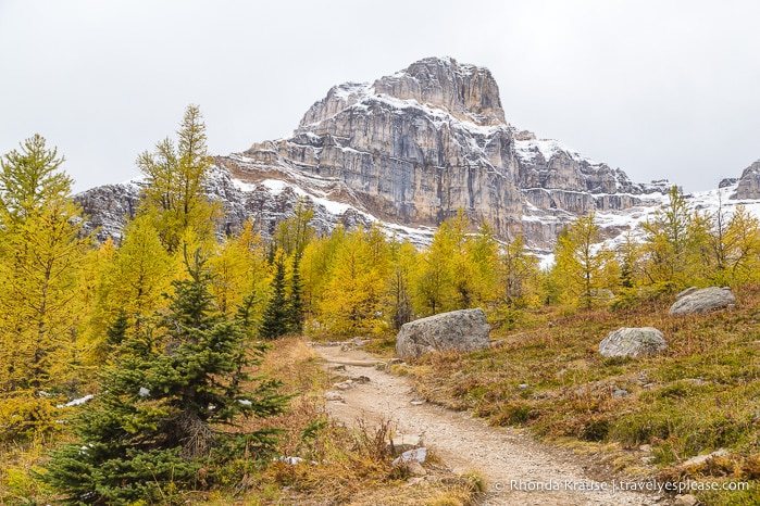 travelyesplease.com | Larch Valley Hike- Lake Louise, Banff National Park