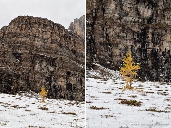 travelyesplease.com | Larch Valley Hike- Lake Louise, Banff National Park