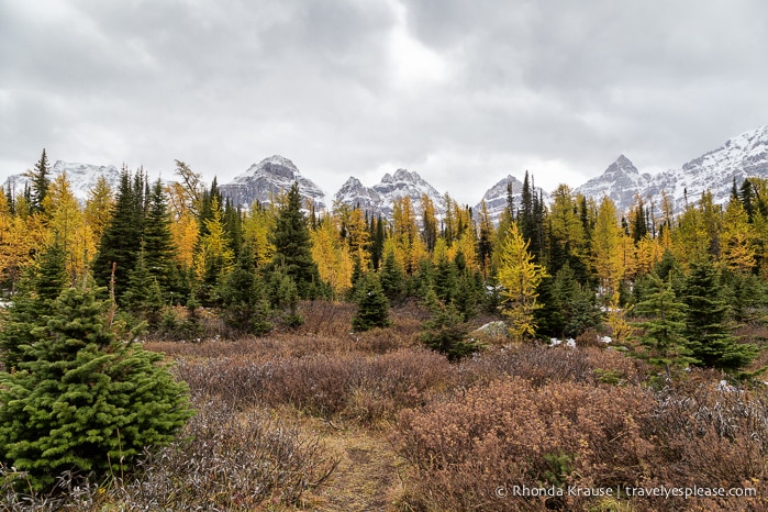 travelyesplease.com | Larch Valley Hike- Lake Louise, Banff National Park