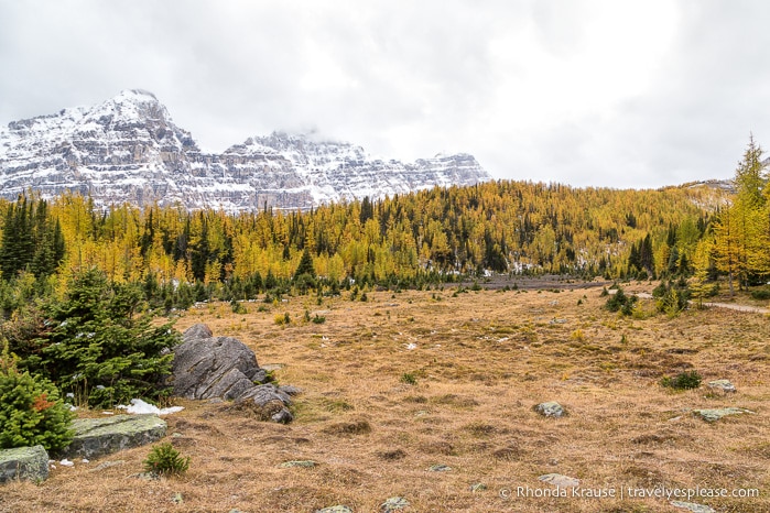 travelyesplease.com | Larch Valley Hike- Lake Louise, Banff National Park