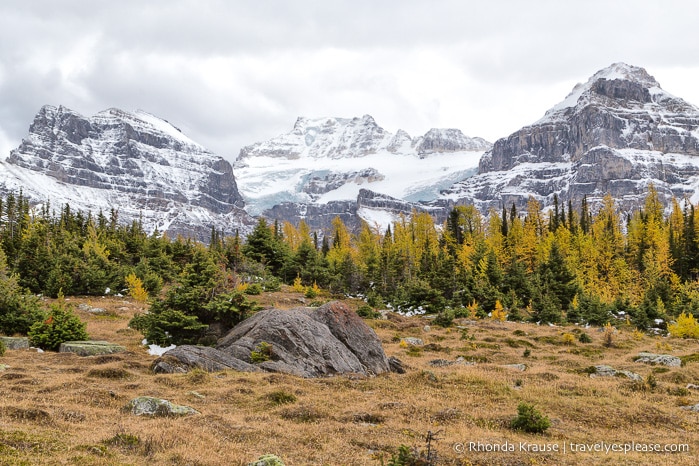 travelyesplease.com | Larch Valley Hike- Lake Louise, Banff National Park