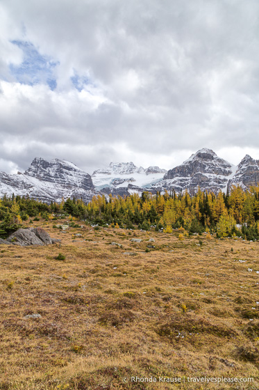 travelyesplease.com | Larch Valley Hike- Lake Louise, Banff National Park