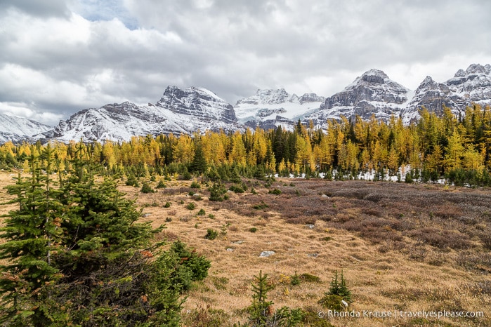 travelyesplease.com | Larch Valley Hike- Lake Louise, Banff National Park