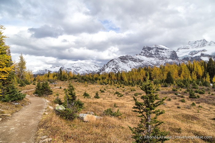 travelyesplease.com | Larch Valley Hike- Lake Louise, Banff National Park