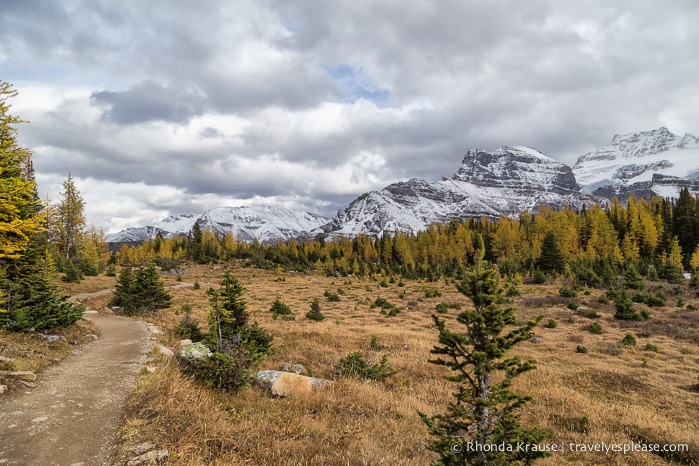 Larch Valley- Banff National Park, Alberta travelyesplease.com | Larch Valley Hike- Lake Louise, Banff National Park