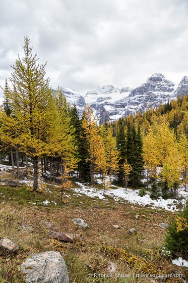 travelyesplease.com | Larch Valley Hike- Lake Louise, Banff National Park