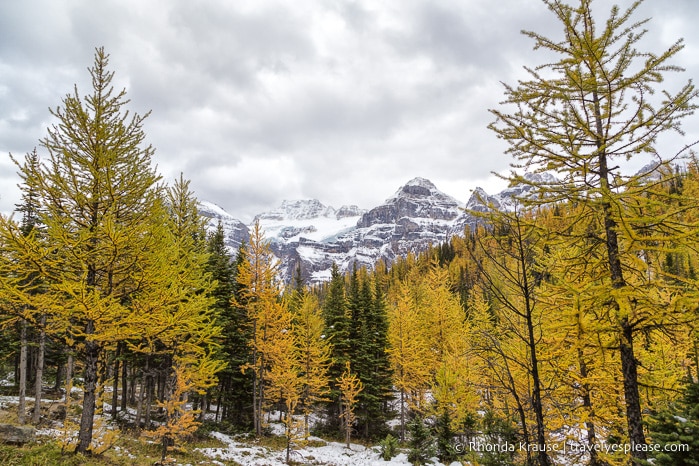 travelyesplease.com | Larch Valley Hike- Lake Louise, Banff National Park