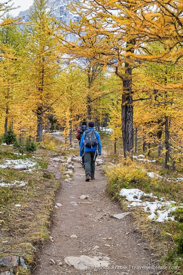 travelyesplease.com | Larch Valley Hike- Lake Louise, Banff National Park