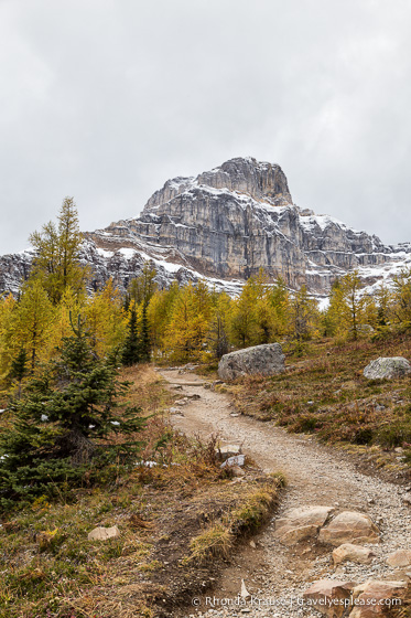 travelyesplease.com | Larch Valley Hike- Lake Louise, Banff National Park