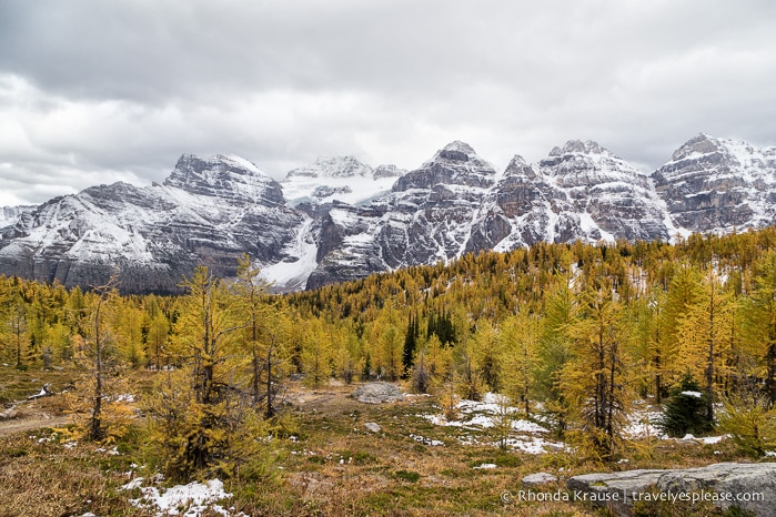 Larch Valley- Banff National Park, Alberta travelyesplease.com | Larch Valley Hike- Lake Louise, Banff National Park