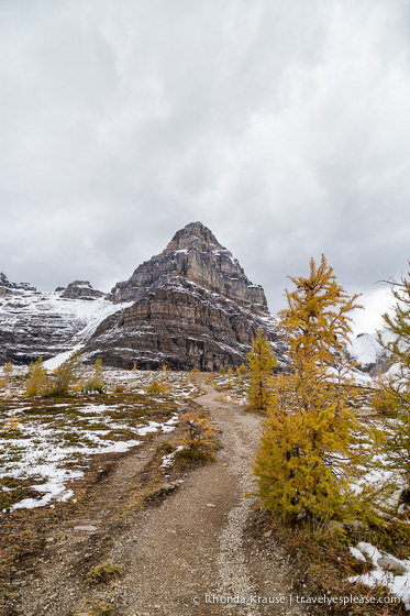 travelyesplease.com | Larch Valley Hike- Lake Louise, Banff National Park