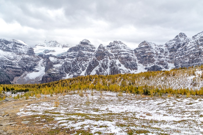 travelyesplease.com | Larch Valley Hike- Lake Louise, Banff National Park