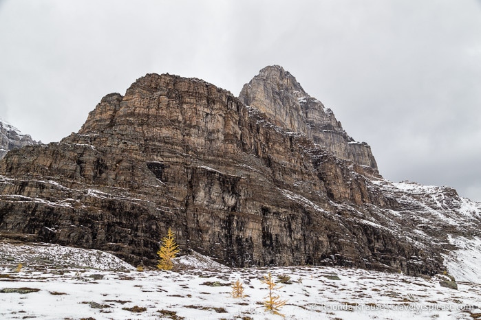 travelyesplease.com | Larch Valley Hike- Lake Louise, Banff National Park