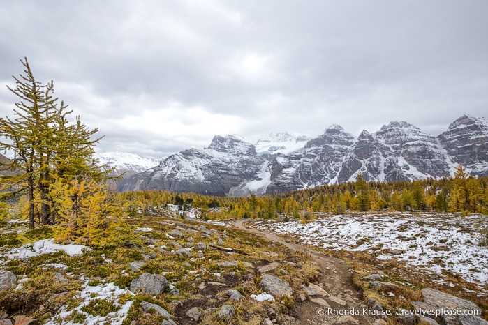 travelyesplease.com | Larch Valley Hike- Lake Louise, Banff National Park