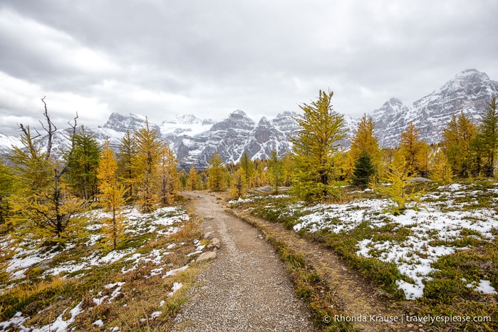 travelyesplease.com | Larch Valley Hike- Lake Louise, Banff National Park