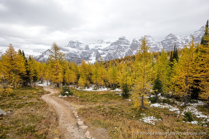 travelyesplease.com | Larch Valley Hike- Lake Louise, Banff National Park