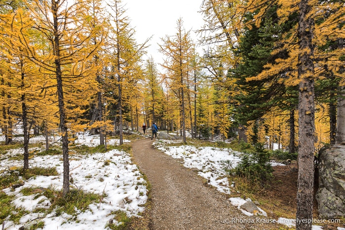 travelyesplease.com | Larch Valley Hike- Lake Louise, Banff National Park