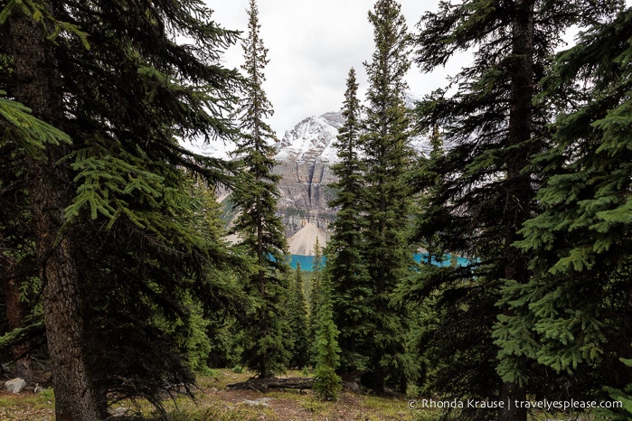 travelyesplease.com | Larch Valley Hike- Lake Louise, Banff National Park