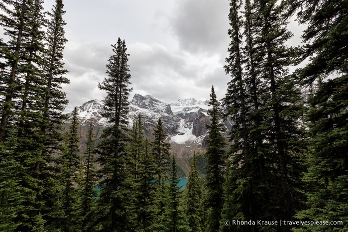 travelyesplease.com | Larch Valley Hike- Lake Louise, Banff National Park