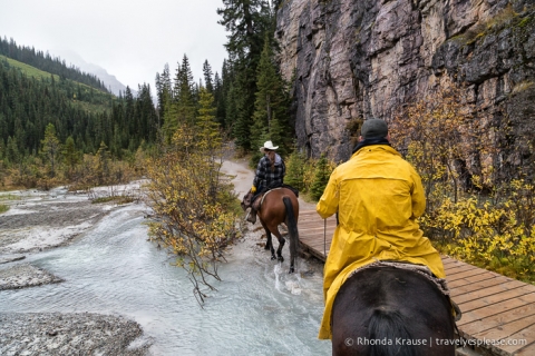 travelyesplease.com | Horseback Riding in Lake Louise to the Plain of Six Glaciers Tea House