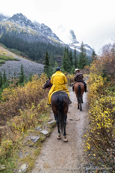 travelyesplease.com | Horseback Ride to the Plain of Six Glaciers Tea House