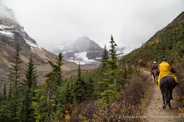 travelyesplease.com | Horseback Ride to the Plain of Six Glaciers Tea House