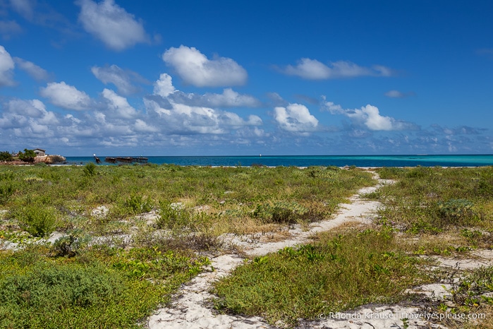 Grass, sand and water at Dry Tortugas National Park.